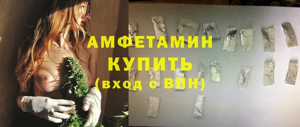 ПСИЛОЦИБИНОВЫЕ ГРИБЫ Вяземский