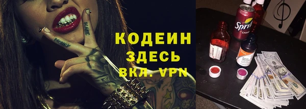 ПСИЛОЦИБИНОВЫЕ ГРИБЫ Вяземский