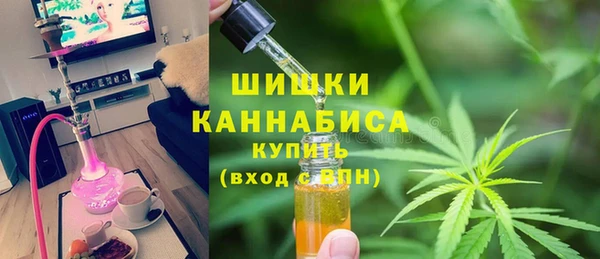 ПСИЛОЦИБИНОВЫЕ ГРИБЫ Вяземский