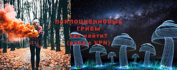 ПСИЛОЦИБИНОВЫЕ ГРИБЫ Вяземский