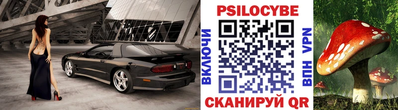 Псилоцибиновые грибы мухоморы  даркнет сайт  Чердынь 
